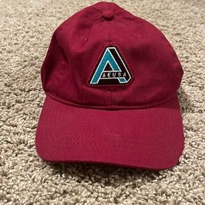 American Eagle Maroon Fitted Hat
